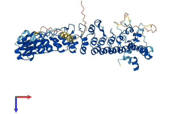 ASB15 Protein (AA 1-583) (His tag)