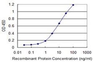 Detection limit for recombinant GST tagged OTOP2 is 0. (Otopetrin 2 抗体  (AA 423-493))