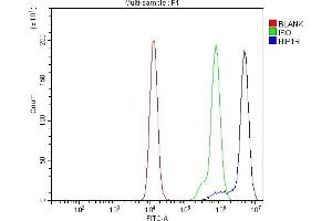 anti-Huntingtin Interacting Protein 1 Related (HIP1R) (AA 316-734) antibody