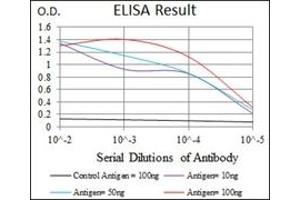 ELISA image for anti-RAP1A, Member of RAS Oncogene Family (RAP1A) antibody (ABIN1108827) (RAP1A 抗体)