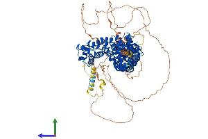 Protein Structure (PS) image for Plakophilin 3 (PKP3) (AA 1-797) protein (His tag) (ABIN7550825)