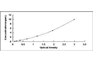 Typical standard curve (EIF6 ELISA 试剂盒)