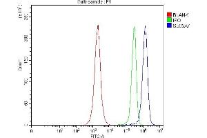 Flow Cytometry analysis of JK cells using anti-SLC5A7 antibody (ABIN7601754).