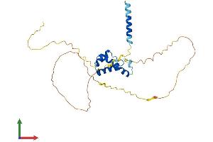 Protein Structure (PS) image for TGFB-Induced Factor Homeobox 1 (TGIF1) (AA 1-272) protein (His tag) (ABIN7556687)