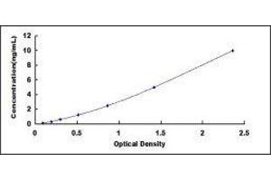 ATG7 Autophagy Related 7 (ATG7) ELISA Kit