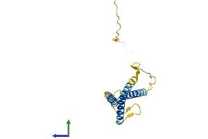 Protein Structure (PS) image for Solute Carrier Family 31 (Copper Transporters), Member 1 (SLC31A1) (AA 1-196) protein (His tag) (ABIN7559486)