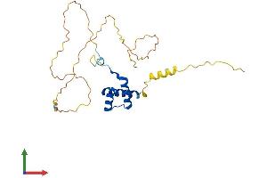 AlphaFold protein structure predicition of Mouse Recombinant Hoxb8 Protein, UniprotID P09632