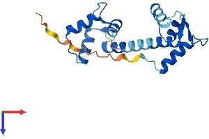 Centrin 1 Protein (AA 1-172) (His tag)