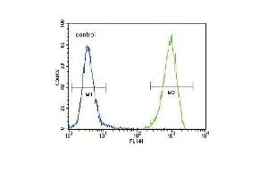 FLT3 (C) Antibody (N-term) (ABIN391981 and ABIN2841772) flow cytometric analysis of 293 cells (right histogram) compared to a negative control cell (left histogram). (FLT3 抗体  (N-Term))