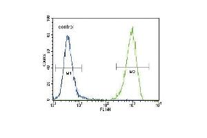 FLT3 (C) Antibody (N-term) (ABIN391981 and ABIN2841772) flow cytometric analysis of 293 cells (right histogram) compared to a negative control cell (left histogram).