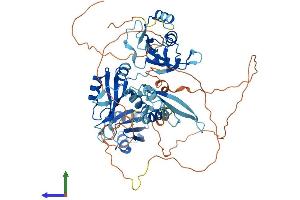 Protein Structure (PS) image for APOBEC1 Complementation Factor (A1CF) (AA 1-594) protein (His tag) (ABIN7551748)
