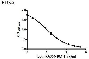 Coating Antigen: 6xHis-MBP-BMP4 recombinant protein (ABIN2703604) 5 µg/mL  Primary Antibody: Mouse Anti-BMP4 (PA354-16. (BMP4 抗体  (AA 25-408))