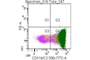 Image no. 1 for anti-CD11b/C3 antibody (ABIN920591) (CD11b/C3 抗体)