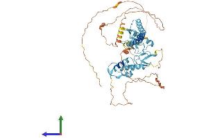 AlphaFold protein structure predicition of Human Recombinant RNF217 Protein, UniprotID Q8TC41