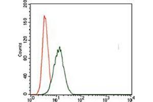 Flow cytometric analysis of HeLa cells using T mouse mAb (green) and negative control (red). (T Antigen (AA 257-309) 抗体)