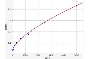 Bax Inhibitor 1 ELISA 试剂盒