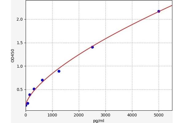 Bax Inhibitor 1 ELISA 试剂盒