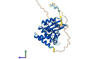 Protein Structure (PS) image for Armadillo Repeat Containing 1 (ARMC1) (AA 1-282) protein (His tag) (ABIN7561075)