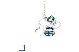 AlphaFold protein structure predicition of Mouse Recombinant Irf4 Protein, UniprotID Q64287
