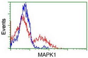 Flow Cytometry (FACS) image for anti-Mitogen-Activated Protein Kinase 1 (MAPK1) antibody (ABIN1499287) (ERK2 抗体)