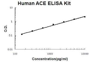 Human ACE PicoKine ELISA Kit standard curve
