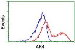 HEK293T cells transfected with either RC220572 overexpress plasmid (Red) or empty vector control plasmid (Blue) were immunostained by anti-AK4 antibody (ABIN2454911), and then analyzed by flow cytometry. (AK4 抗体)