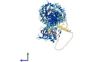 Protein Structure (PS) image for serine/threonine Kinase 36 (STK36) (AA 1-1316) protein (His tag) (ABIN7564025)