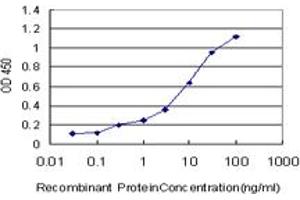 ELISA image for anti-Membrane Associated Guanylate Kinase, WW and PDZ Domain Containing 1 (MAGI1) (AA 761-859) antibody (ABIN563984)