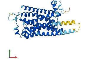 Protein Structure (PS) image for Trace Amine Associated Receptor 1 (TAAR1) (AA 1-339) protein (His tag) (ABIN7555695)