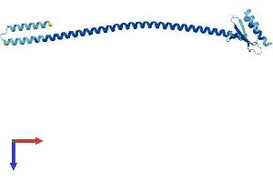 SPC25 Protein (AA 1-224) (His tag)