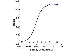 Immobilized N His HSA TNFSF9/4 1BB at 2 μg/mL can bind Anti-TNFRSF9 / 4-1BB / CD137 Reference Antibody (urelumab), EC50=0.