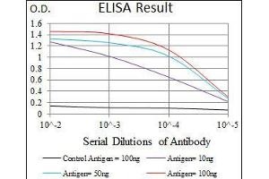 Black line: Control Antigen (100 ng), Purple line: Antigen(10 ng), Blue line: Antigen (50 ng), Red line: Antigen (100 ng), (PPY 抗体  (AA 1-95))