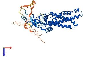 AlphaFold protein structure predicition of Human Recombinant ZDHHC18 Protein, UniprotID Q9NUE0
