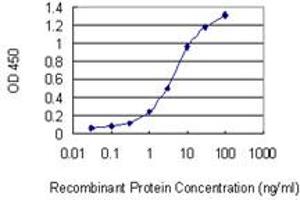 Detection limit for recombinant GST tagged NAGK is 0. (NAGK 抗体  (AA 1-344))