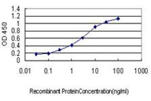 Detection limit for recombinant GST tagged GDF7 is approximately 0. (GDF7 抗体  (AA 361-450))