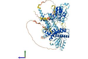 Protein Structure (PS) image for Spastic Paraplegia 7 (SPG7) (AA 1-781) protein (His tag) (ABIN7557220)