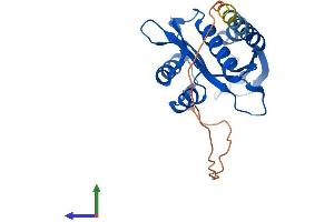 Protein Structure (PS) image for N(alpha)-Acetyltransferase 11, NatA Catalytic Subunit (NAA11) (AA 1-218) protein (His tag) (ABIN7557305)