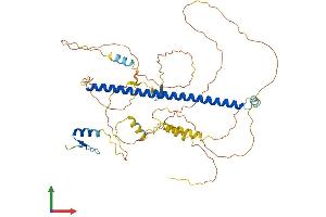 Protein Structure (PS) image for Activating Transcription Factor 2 (ATF2) (AA 1-487) protein (His tag) (ABIN7562909)