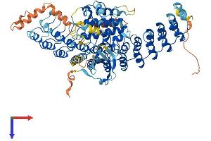 AlphaFold protein structure predicition of Human Recombinant ANKK1 Protein, UniprotID Q8NFD2