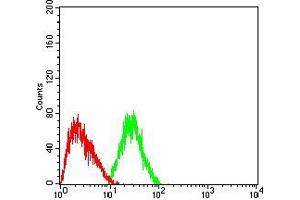 Flow cytometric analysis of HepG2 cells using DNMT3L mouse mAb (green) and negative control (red). (DNMT3L 抗体  (AA 147-386))