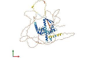 Protein Structure (PS) image for Cysteine-Serine-Rich Nuclear Protein 3 (CSRNP3) (AA 1-597) protein (His tag) (ABIN7556538)