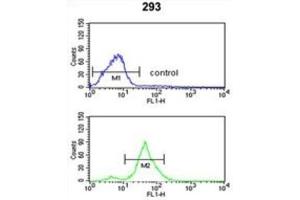 Flow Cytometry (FACS) image for anti-Tetraspanin 12 (TSPAN12) antibody (ABIN3003872) (TSPAN12 抗体)