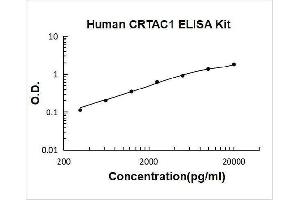 Typical Standard Curve