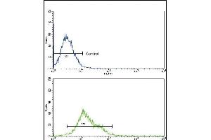 Flow Cytometry (FACS) image for anti-Arachidonate 12-Lipoxygenase (ALOX12) (AA 618-650), (C-Term) antibody (ABIN652825)