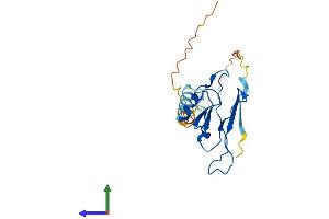 Protein Structure (PS) image for POM121 and ZP3 Fusion (POMZP3) (AA 1-187) protein (His tag) (ABIN7550909)