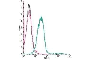 Cell surface detection of P2X3 Receptor by indirect flow cytometry in live intact mouse P815 mastocytoma cells: (black line) Cells. (P2X3 Receptor (AA 65-79), (Extracellular) 抗体)