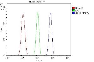 Flow Cytometry analysis of U87 cells using anti-JUNB antibody (ABIN7601187) Overlay histogram showing U87 cells stained with (ABIN7601187) (Blue line).