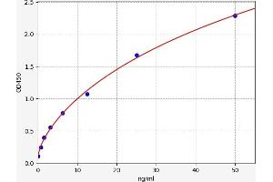 TPI1 ELISA 试剂盒