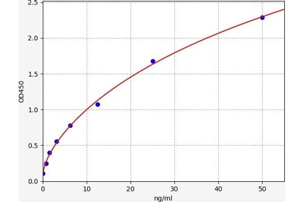 TPI1 ELISA 试剂盒