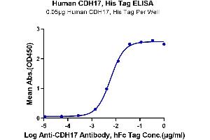 LI Cadherin (AA 23-787) protein (His tag)